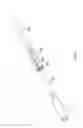 Fig. 10 - Over-the-Wire-Valvulotomes
