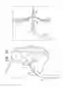 Fig. 05 - FOSSA OVALIS PENETRATION