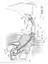 Fig. 10 - Uterine manipulators and related components and methods