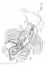 Fig. 11 - Uterine manipulators and related components and methods