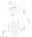 Fig. 15 - Minimally invasive interspinous process spacer implants and methods