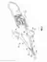 Fig. 03 - Surgical tissue sealer
