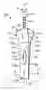 Fig. 01 - Dental expansion assembly