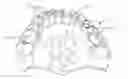 Fig. 01 - MOLDED DENTURE AND METHOD AND APPARATUS OF MAKING SAME