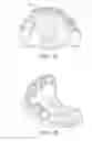 Fig. 02 - MOLDED DENTURE AND METHOD AND APPARATUS OF MAKING SAME