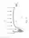 Fig. 20 - MOLDED DENTURE AND METHOD AND APPARATUS OF MAKING SAME
