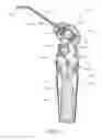 Fig. 13 - DENTAL CLEANING APPARATUS