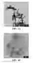 Fig. 03 - NANOMATERIALS FOR THE INTEGRATION OF SOFT INTO HARD TISSUE