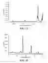 Fig. 04 - NANOMATERIALS FOR THE INTEGRATION OF SOFT INTO HARD TISSUE