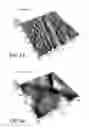 Fig. 06 - NANOMATERIALS FOR THE INTEGRATION OF SOFT INTO HARD TISSUE