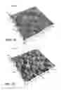 Fig. 10 - NANOMATERIALS FOR THE INTEGRATION OF SOFT INTO HARD TISSUE