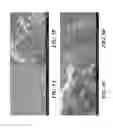 Fig. 12 - NANOMATERIALS FOR THE INTEGRATION OF SOFT INTO HARD TISSUE
