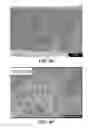 Fig. 19 - NANOMATERIALS FOR THE INTEGRATION OF SOFT INTO HARD TISSUE