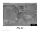 Fig. 20 - NANOMATERIALS FOR THE INTEGRATION OF SOFT INTO HARD TISSUE
