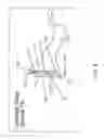 Fig. 08 - Method for optimization of joint arthroplasty component design