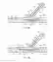 Fig. 13 - Multi-stent and multi-balloon apparatus for treating bifurcations and methods of use