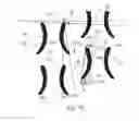 Fig. 10 - ABSORBENT ARTICLE WITH FASTENING SYSTEM