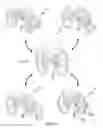 Fig. 34 - Wheelchair reconfiguration methods