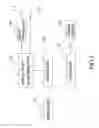 Fig. 03 - PHYSIOTHERAPEUTIC ENERGY WAVE GENERATING DEVICE