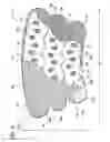 Fig. 05 - Compression System With Vent Cooling Feature