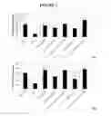 Fig. 03 - Methods of regulating skin health and appearance with a combination of flavonoid and vitamin B