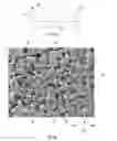 Fig. 12 - Posterior segment drug delivery