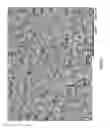 Fig. 58 - Posterior segment drug delivery