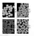 Fig. 03 - Method of preparing drug agglomerate
