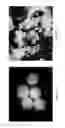 Fig. 04 - Method of preparing drug agglomerate