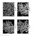 Fig. 05 - Method of preparing drug agglomerate