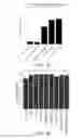 Fig. 10 - MUCOADHESIVE DEVICES FOR DELIVERY OF ACTIVE AGENTS