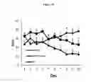 Fig. 27 - Composition comprising ASM inhibitor as active ingredient for preventing or treating degenerative neurological disorders