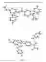 Fig. 06 - Pharmaceutical salts and polymorphs of a factor Xa inhibitor