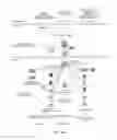 Fig. 06 - Small molecule activators of NRF2 pathway