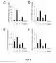 Fig. 09 - Small molecule activators of NRF2 pathway