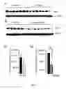 Fig. 11 - Small molecule activators of NRF2 pathway