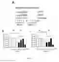 Fig. 14 - Small molecule activators of NRF2 pathway