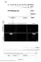 Fig. 26 - Small molecule activators of NRF2 pathway