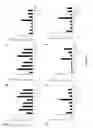 Fig. 30 - Small molecule activators of NRF2 pathway