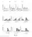 Fig. 31 - Small molecule activators of NRF2 pathway