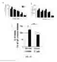 Fig. 33 - Small molecule activators of NRF2 pathway