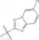 Fig. 108 - QUINUCLIDINE COMPOUNDS AS ALPHA-7 NICOTINIC ACETYLCHOLINE RECEPTOR LIGANDS