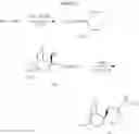 Fig. 12 - QUINUCLIDINE COMPOUNDS AS ALPHA-7 NICOTINIC ACETYLCHOLINE RECEPTOR LIGANDS