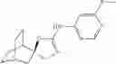 Fig. 862 - QUINUCLIDINE COMPOUNDS AS ALPHA-7 NICOTINIC ACETYLCHOLINE RECEPTOR LIGANDS