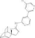 Fig. 962 - QUINUCLIDINE COMPOUNDS AS ALPHA-7 NICOTINIC ACETYLCHOLINE RECEPTOR LIGANDS