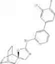 Fig. 965 - QUINUCLIDINE COMPOUNDS AS ALPHA-7 NICOTINIC ACETYLCHOLINE RECEPTOR LIGANDS