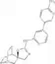 Fig. 970 - QUINUCLIDINE COMPOUNDS AS ALPHA-7 NICOTINIC ACETYLCHOLINE RECEPTOR LIGANDS