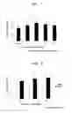 Fig. 07 - Agent for promoting corneal endothelial cell adhesion