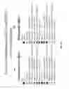 Fig. 28 - Estrogenic components for use in the treatment of neurological disorders