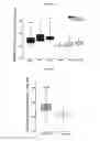 Fig. 07 - Use of Megestrol Acetate for Improving Heart Function and the Treatment of Heart Insufficiency
